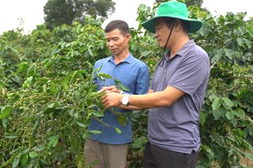  Nhà phân phối Trương Thế Võ: “Sứ mệnh đưa phân bón Tiến Nông đồng hành cùng bà con dân tộc thiểu số”