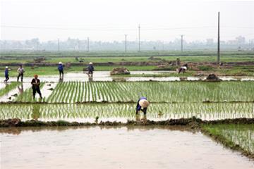 Nông dân huyện Như Xuân tập trung sản xuất vụ xuân