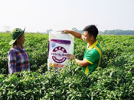Đảm bảo độ đồng đều: Công nghệ này giúp cải thiện hình thức và màu sắc đồng nhất cho sản phẩm phân bón, nâng cao tính thẩm mỹ và chất lượng sản phẩm.