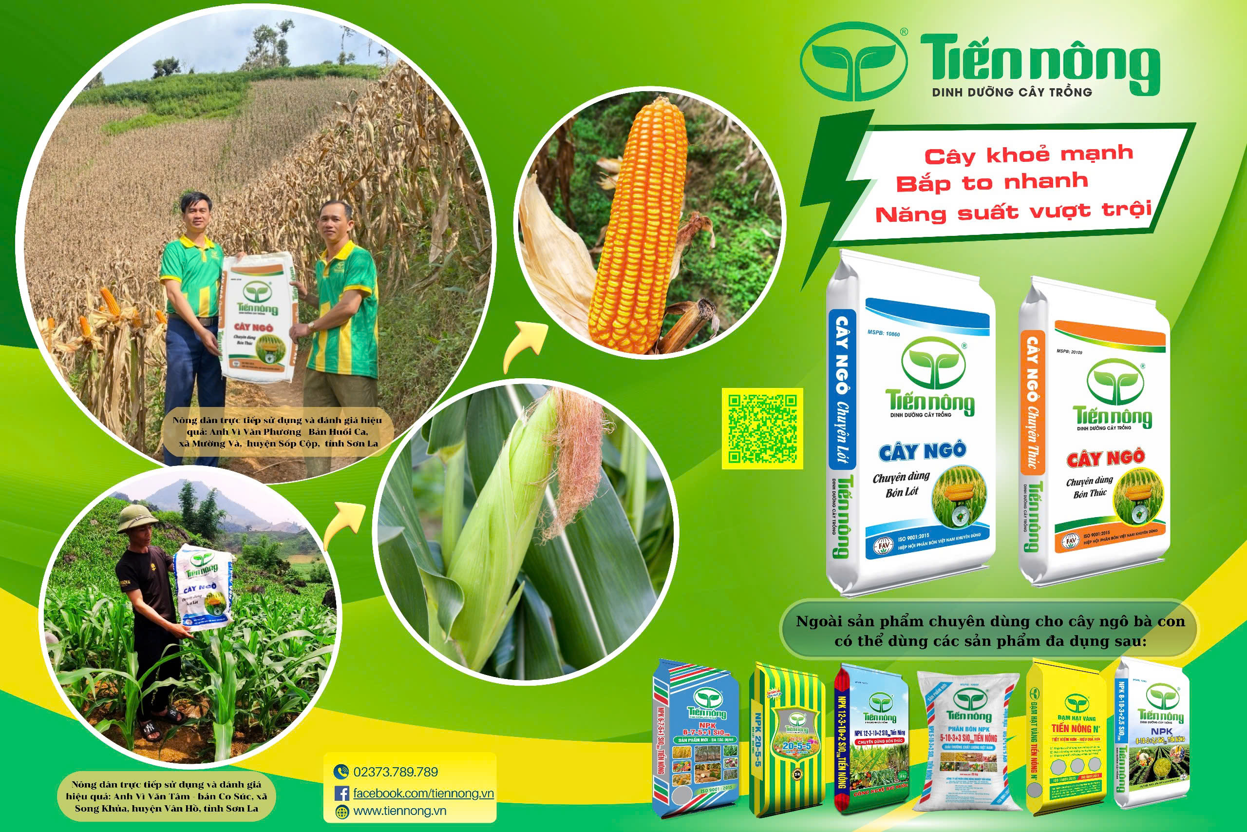 Tìm hiểu 5 sự thật thú vị về phân bón để nâng cao nhận thức về nông nghiệp bền vững