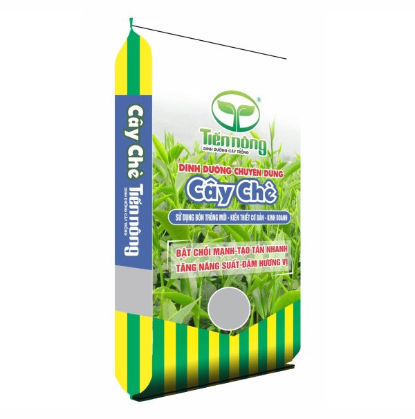 Cây Chè