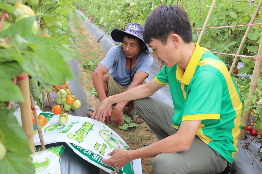 Siêu đạm Tiến Nông bứt phá năng suất, dẫn lối nông nghiệp xanh
