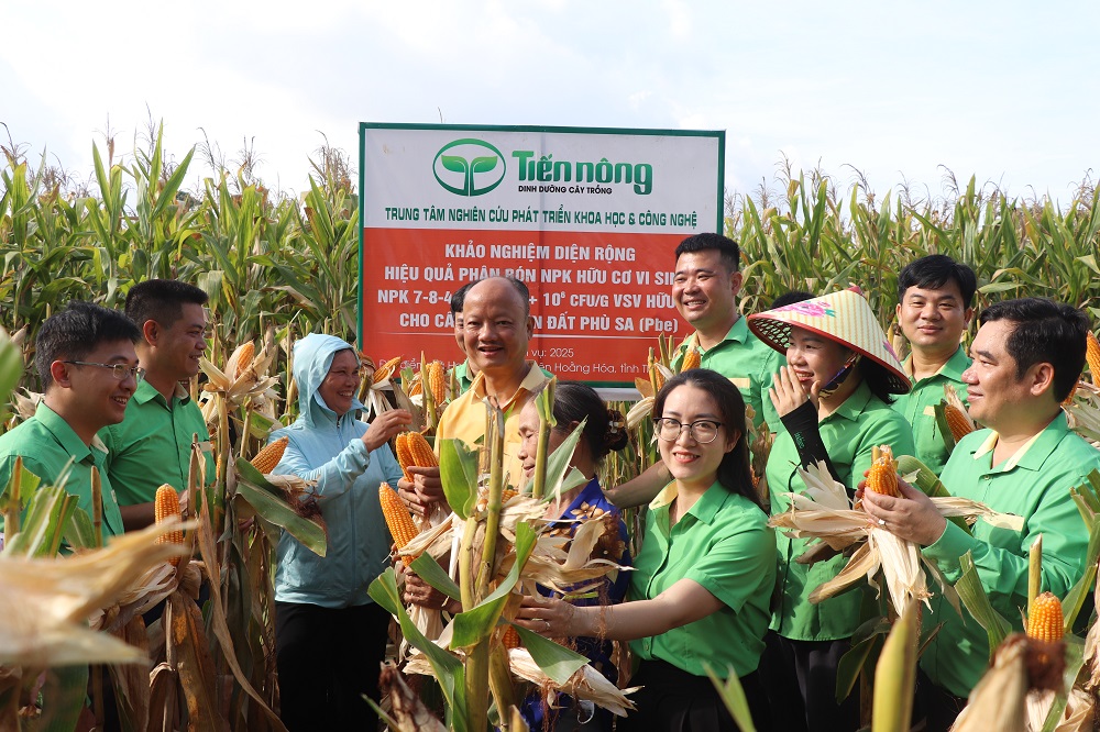 Hội nghị đầu bờ đánh giá hiệu quả mô hình phân bón NPK hữu cơ vi sinh: Gieo mầm cho đất, dựng xây mùa vàng
